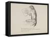 Parrot Reading Newspaper, Nonsense Botany Animals and Other Poems Written and Drawn by Edward Lear-Edward Lear-Framed Stretched Canvas