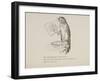 Parrot Reading Newspaper, Nonsense Botany Animals and Other Poems Written and Drawn by Edward Lear-Edward Lear-Framed Giclee Print