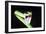 Parrot Snake Mouth Open-null-Framed Photographic Print