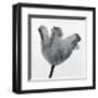 Parrot Tulip I-Tom Artin-Framed Art Print