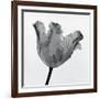 Parrot Tulip I-Tom Artin-Framed Art Print