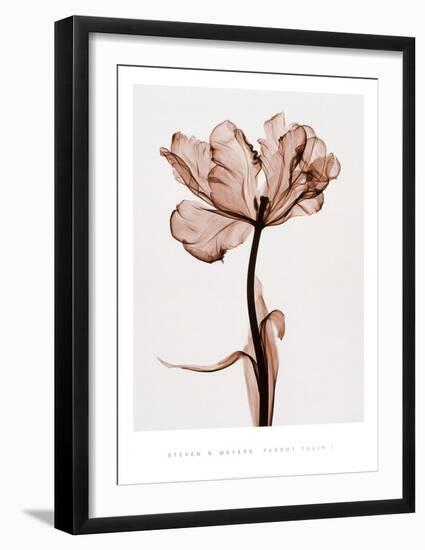 Parrot Tulip I-Steven N^ Meyers-Framed Art Print