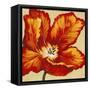 Parrot Tulip I-Tim O'toole-Framed Stretched Canvas