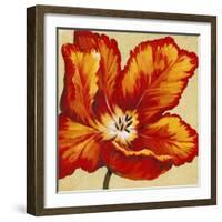 Parrot Tulip I-Tim O'toole-Framed Art Print