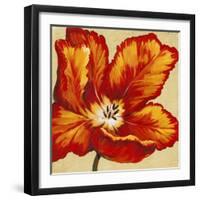 Parrot Tulip I-Tim O'toole-Framed Art Print