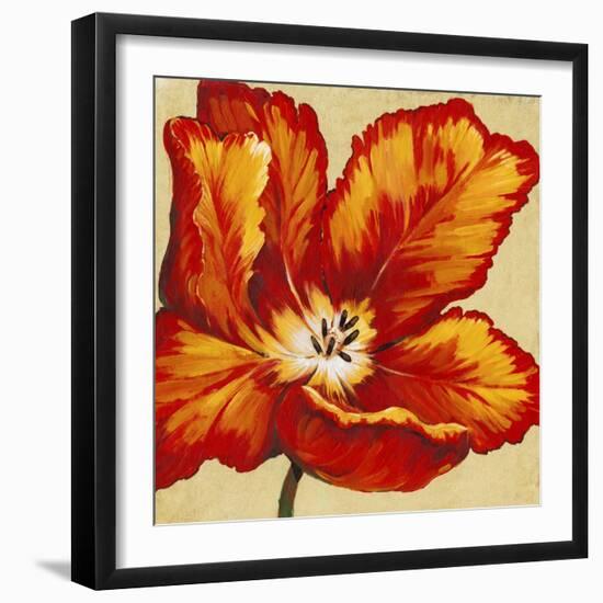 Parrot Tulip I-Tim O'toole-Framed Art Print