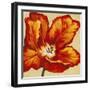 Parrot Tulip I-Tim O'toole-Framed Art Print