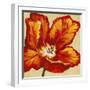 Parrot Tulip I-Tim O'toole-Framed Art Print