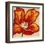 Parrot Tulip I-Tim O'toole-Framed Art Print