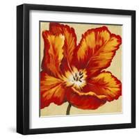 Parrot Tulip I-Tim O'toole-Framed Art Print