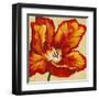 Parrot Tulip I-Tim O'toole-Framed Art Print