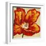 Parrot Tulip I-Tim O'toole-Framed Art Print