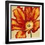 Parrot Tulip II-Tim O'toole-Framed Art Print