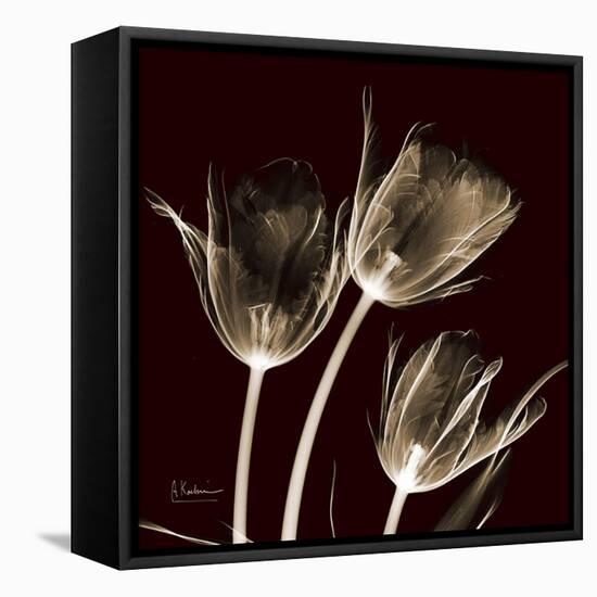 Parrot Tulips 1-Albert Koetsier-Framed Stretched Canvas