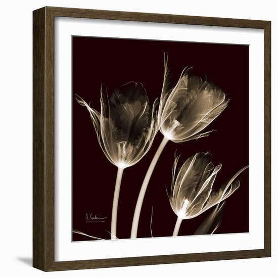 Parrot Tulips 1-Albert Koetsier-Framed Art Print