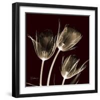 Parrot Tulips 1-Albert Koetsier-Framed Art Print