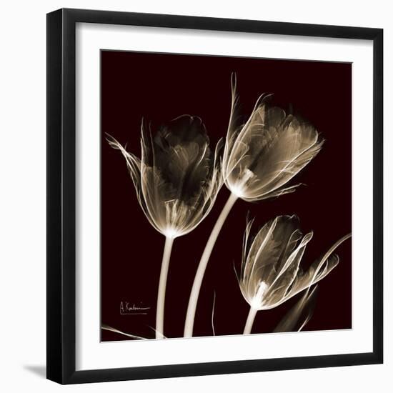 Parrot Tulips 1-Albert Koetsier-Framed Art Print