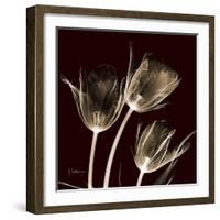 Parrot Tulips 1-Albert Koetsier-Framed Premium Giclee Print