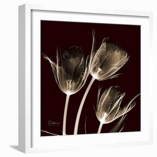 Parrot Tulips 1-Albert Koetsier-Framed Premium Giclee Print