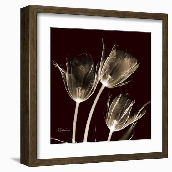 Parrot Tulips 1-Albert Koetsier-Framed Art Print