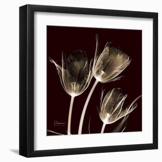 Parrot Tulips 1-Albert Koetsier-Framed Art Print