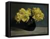 Parrot Tulips, 2010-James Gillick-Framed Stretched Canvas