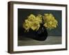 Parrot Tulips, 2010-James Gillick-Framed Giclee Print