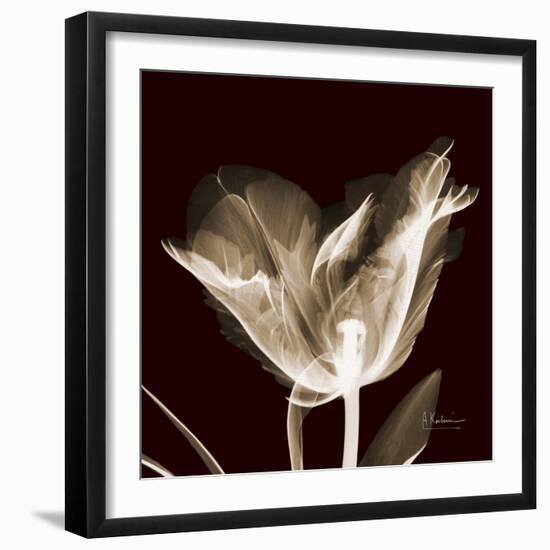 Parrot Tulips 2-Albert Koetsier-Framed Art Print