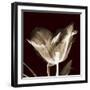 Parrot Tulips 2-Albert Koetsier-Framed Art Print