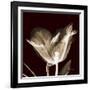 Parrot Tulips 2-Albert Koetsier-Framed Art Print