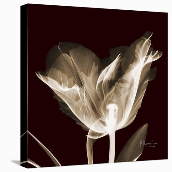 Parrot Tulips 2-Albert Koetsier-Stretched Canvas