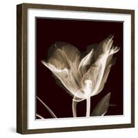 Parrot Tulips 2-Albert Koetsier-Framed Premium Giclee Print