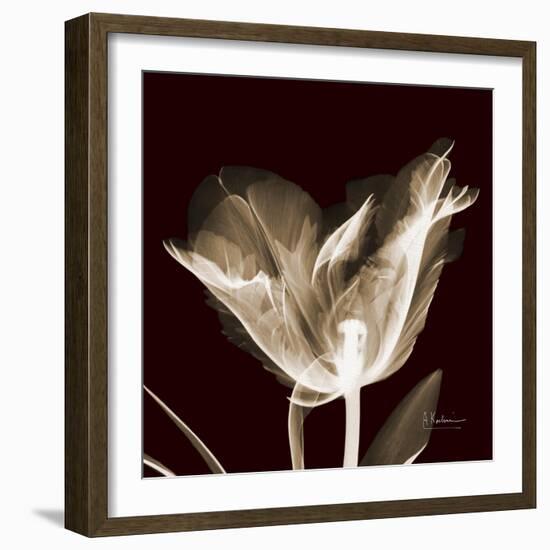 Parrot Tulips 2-Albert Koetsier-Framed Premium Giclee Print