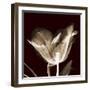 Parrot Tulips 2-Albert Koetsier-Framed Premium Giclee Print