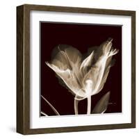 Parrot Tulips 2-Albert Koetsier-Framed Art Print