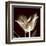 Parrot Tulips 2-Albert Koetsier-Framed Art Print