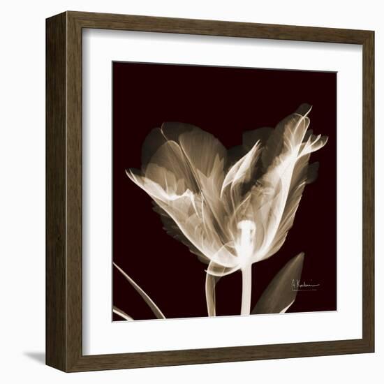 Parrot Tulips 2-Albert Koetsier-Framed Art Print