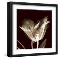 Parrot Tulips 2-Albert Koetsier-Framed Art Print