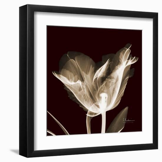 Parrot Tulips 2-Albert Koetsier-Framed Art Print