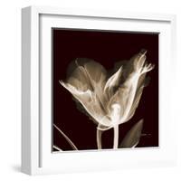 Parrot Tulips 2-Albert Koetsier-Framed Art Print