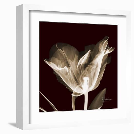 Parrot Tulips 2-Albert Koetsier-Framed Art Print