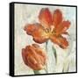 Parrot Tulips II  on Ivory-Danhui Nai-Framed Stretched Canvas