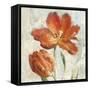 Parrot Tulips II  on Ivory-Danhui Nai-Framed Stretched Canvas