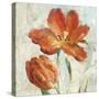 Parrot Tulips II  on Ivory-Danhui Nai-Stretched Canvas