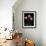 Parrot Tulips II-Andrew Levine-Framed Giclee Print displayed on a wall