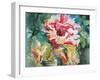 Parrot Tulips II-Paula Giltner-Framed Art Print