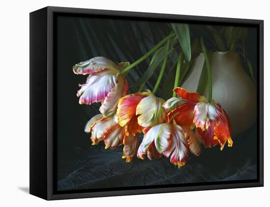 Parrot Tulips in White Pitcher-Anna Miller-Framed Stretched Canvas
