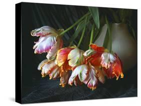 Parrot Tulips in White Pitcher-Anna Miller-Stretched Canvas