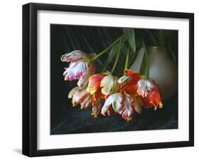 Parrot Tulips in White Pitcher-Anna Miller-Framed Photographic Print