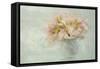 Parrot Tulips-Cora Niele-Framed Stretched Canvas